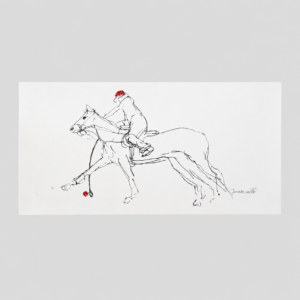 POLO III